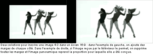 beyonce_single_ladies2